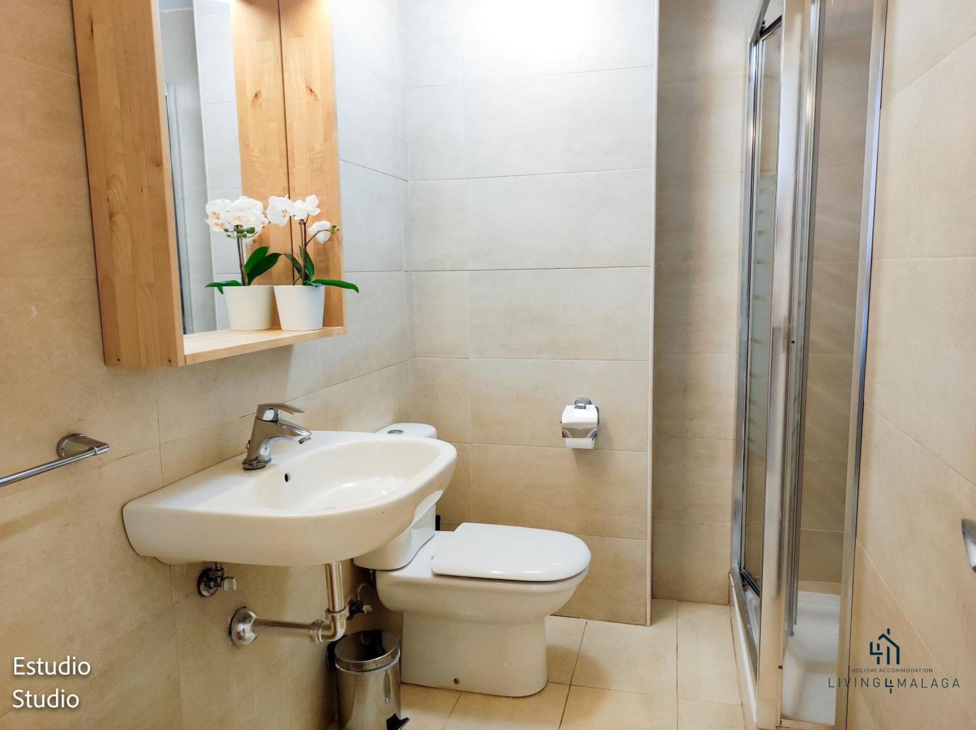 Living4Malaga Suites Superior Room photo